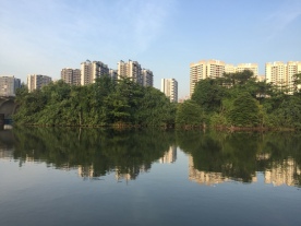 Riverside Park reflections